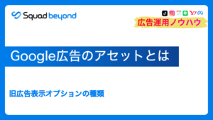 Google広告のアセットとは|旧広告表示オプションの種類